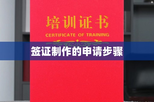 东丰签证制作的申请步骤