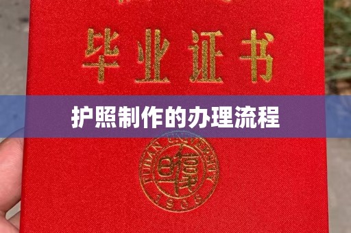 东丰护照制作的办理流程