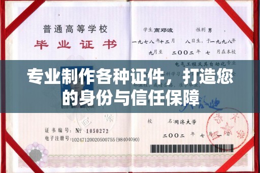 东丰专业制作各种证件，打造您的身份与信任保障