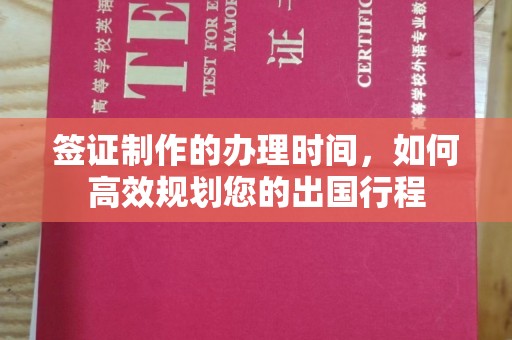 东丰签证制作的办理时间，如何高效规划您的出国行程