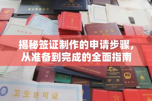 东丰揭秘签证制作的申请步骤，从准备到完成的全面指南