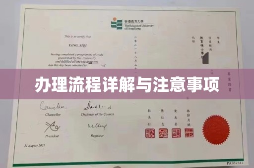 东丰办理流程详解与注意事项